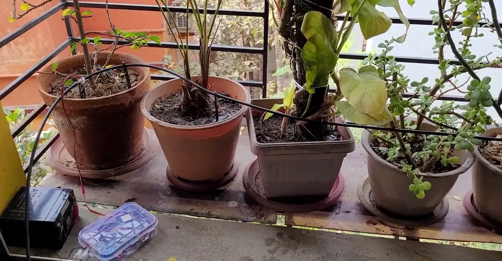 indoor plant watering system